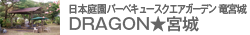 Dragon★宮城